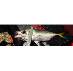 Daiwa Gekkabijin Ajing jig Head