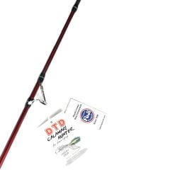 DTD Calamari Hunter Egi Saltwater 246cm 2.0-3.5 Kalamar Kamışı