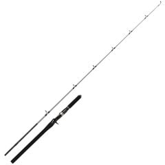 Shimano SpeedMaster 191cm Max. 120gr Slow Jig Kamışı