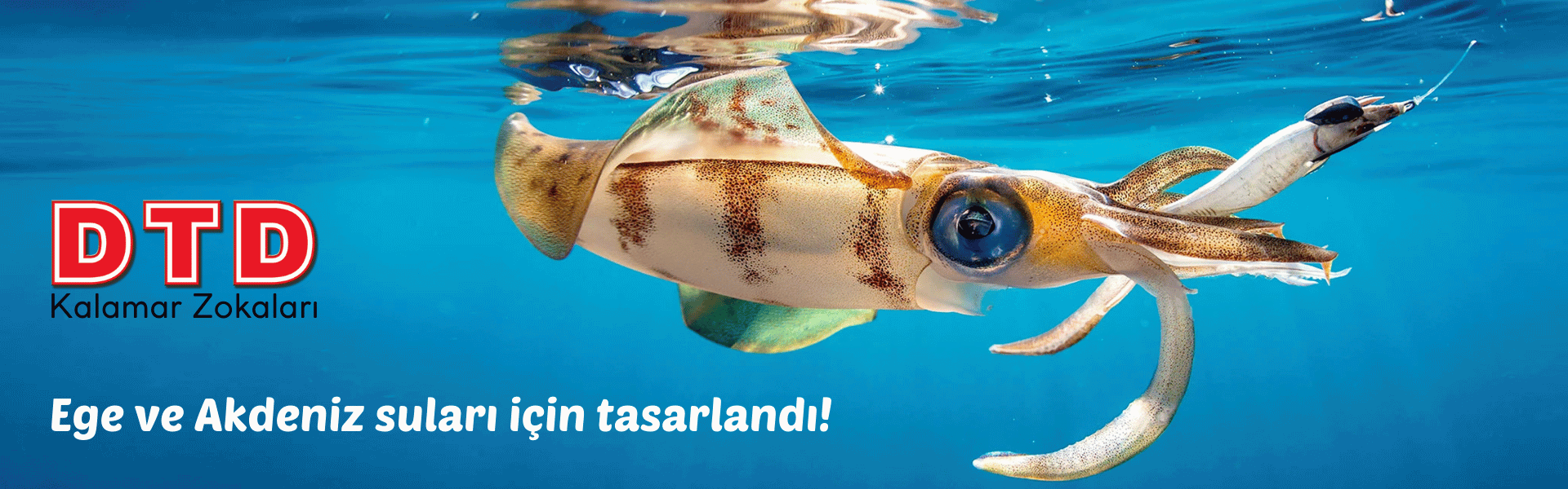 DTD Kalamar Zokaları İzmir