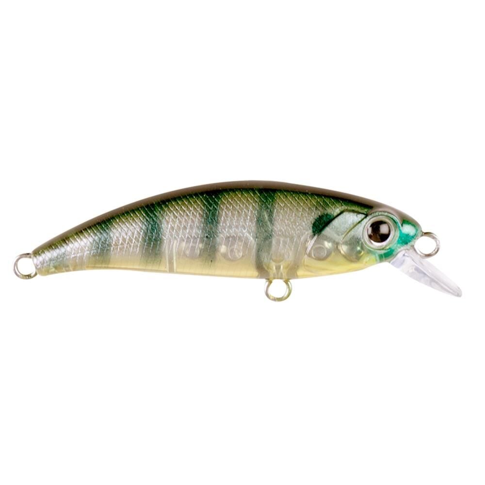 HanFish Zıpır KG Goby
