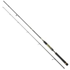 Daiwa Crosscast Df 244cm 7-28gr Spin Kamışı