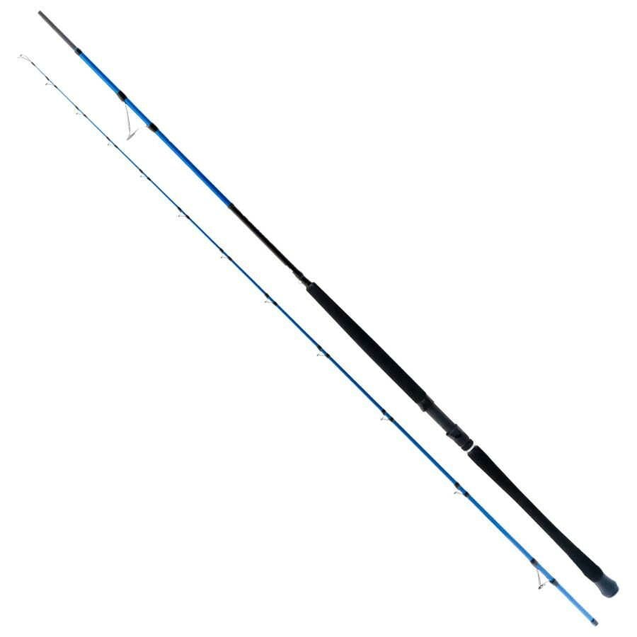 Ryuji Shore Game 295cm 30-100gr Shore Jig Kamış