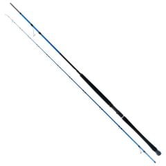 Ryuji Shore Game 295cm 30-100gr Shore Jig Kamış