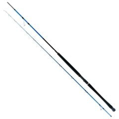 Ryuji Shore Game 285cm 25-85gr Shore Jig Kamış