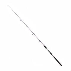 DCR Hilal Jig ve Canlı Yem Kamışı 185cm 100-300gr