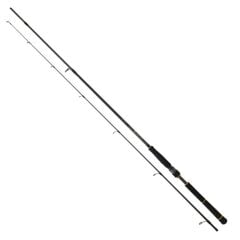 Daiwa New Bg Seabass 250cm 10-35gr Spin Olta Kamışı