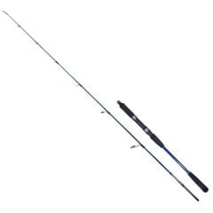 Ryuji Strobe II 198cm 80-170gr Jig Olta Kamışı