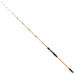 Ryuji Sparrow 170cm 15-200gr Bot Olta Kamışı