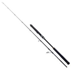 Ryuji Seawolf 180cm 300-600gr Jig Olta Kamışı
