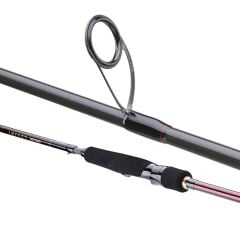 Daiwa infeet Seabass 274cm 14-42gr Spin Kamış