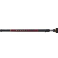 Daiwa infeet Seabass 251cm 10-35gr Spin Kamış