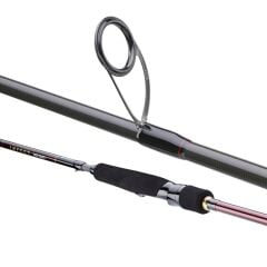 Daiwa infeet Seabass 251cm 10-35gr Spin Kamış