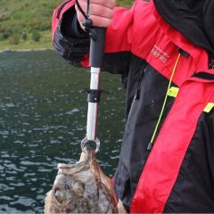 Sea Horse 15kg Tartılı Gripper-Balık Tutucu
