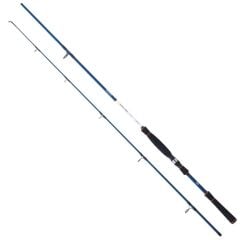 Daiwa Spitfire Seabass 300cm 28-84gr Spin Olta Kamışı