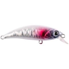 HanFish Zıpır KG Alyanak SPK-34