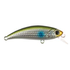 HanFish Zıpır KG Mullet