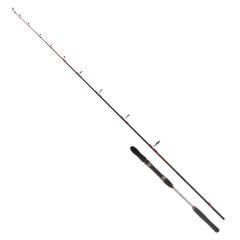 Ryuji Searider 180cm 60-180gr Jig Kamış