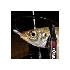 Xesta Bullet Ribhead Jig Head