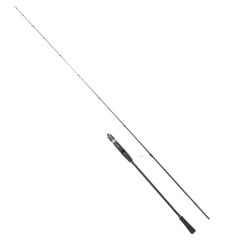 Ryuji Teton 180cm 20-60gr Light Jigging Olta Kamışı