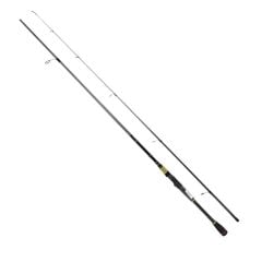Daiwa RS 244cm 10-35gr Spin Kamışı